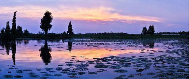 江西風(fēng)景獨好|百強縣旅游特色推薦,贛鄱首府首縣南昌縣歡迎你!